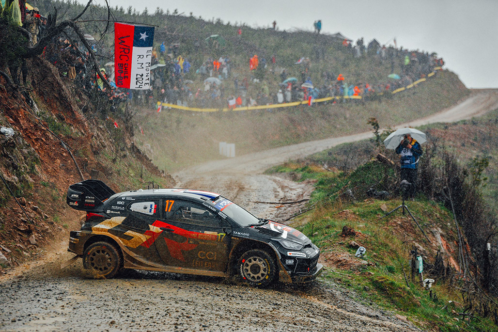 Car 17 (Sébastien Ogier, Vincent Landais)