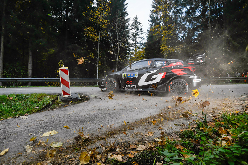 Car 17 (Sébastien Ogier, Vincent Landais)