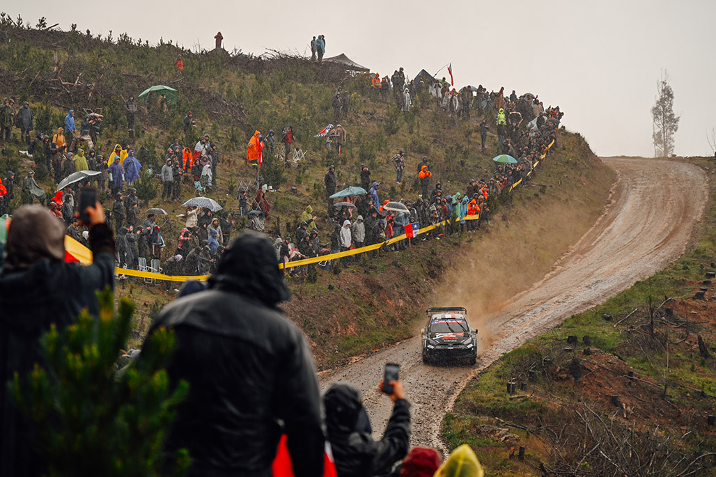 Car 17 (Sébastien Ogier, Vincent Landais)