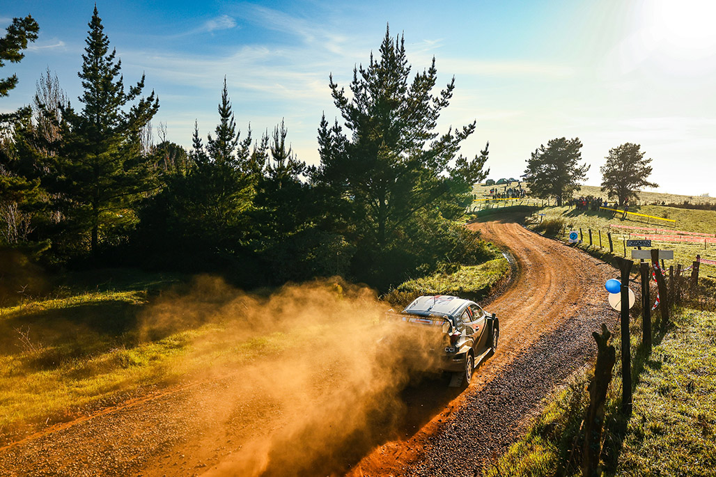 Car 17 (Sébastien Ogier, Vincent Landais)