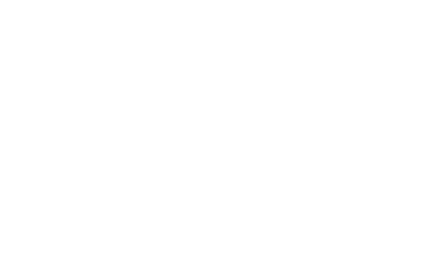 TEAM & DRIVER